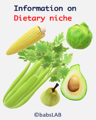 Information on dietary niche